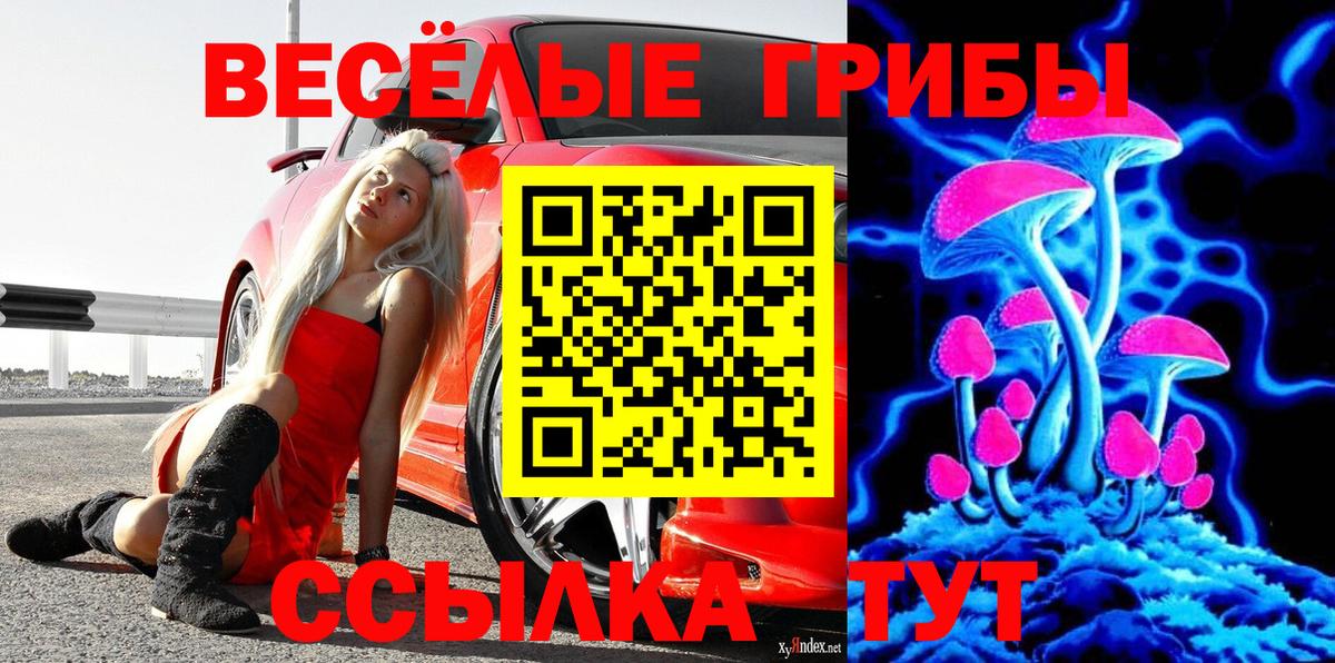 Галлюциногенные грибы Cubensis  где можно купить   Галлюциногенные грибы прущие грибы  Костомукша  Вход с VPN 